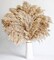 Fluffy Pompas Grass, Natural Dry Pampas Grass Small(Brown,white)
